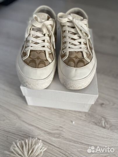 Кеды женские coach