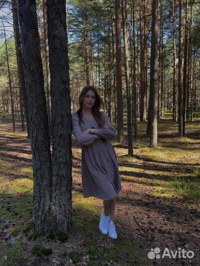 Веб дизайнер