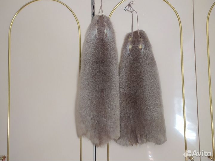Шкурки нутрии 2шт