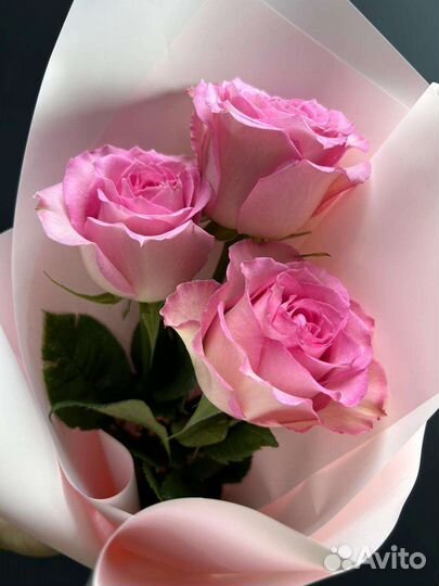 Букет из 3 роз Эквадор (комплимент)