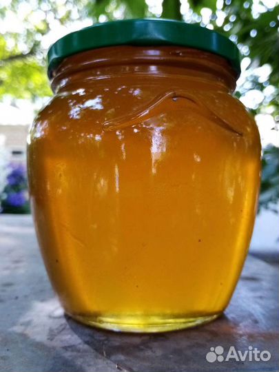 Мёд Разнотравие с подсолнечником