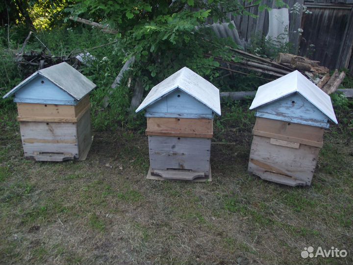 Пчелы с ульями