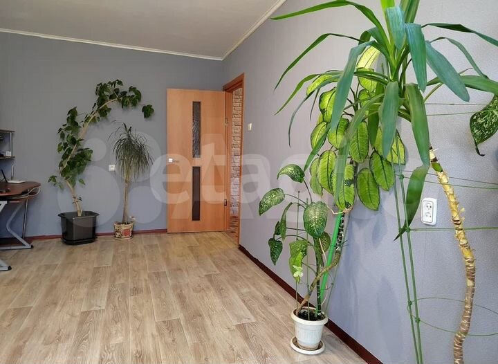 3-к. квартира, 65,9 м², 4/5 эт.