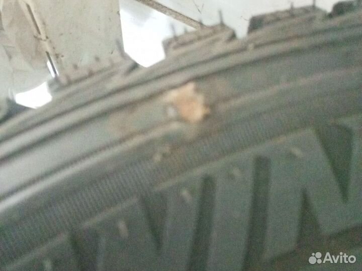 Nexen Winguard WinSpike WH62 205/65 R15