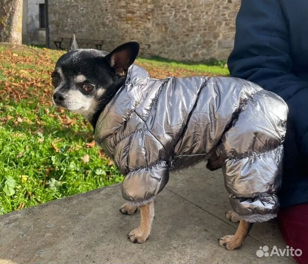 Собд37. Комбинезон для собак