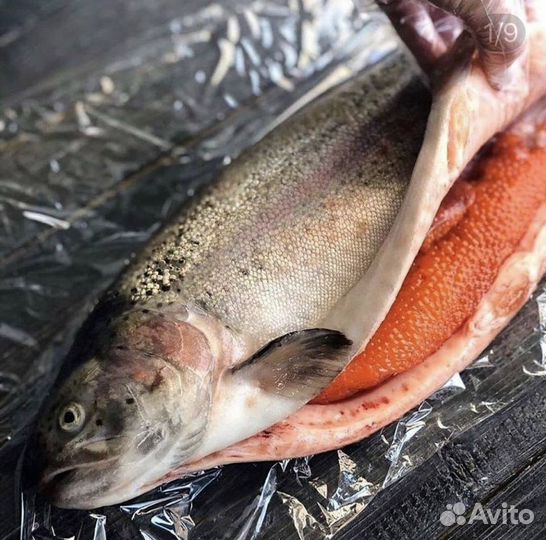 Продукт питания