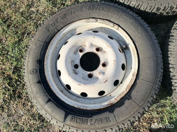 Forward Dinamic 156 185/75 R16