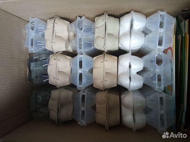 Лотки для яиц