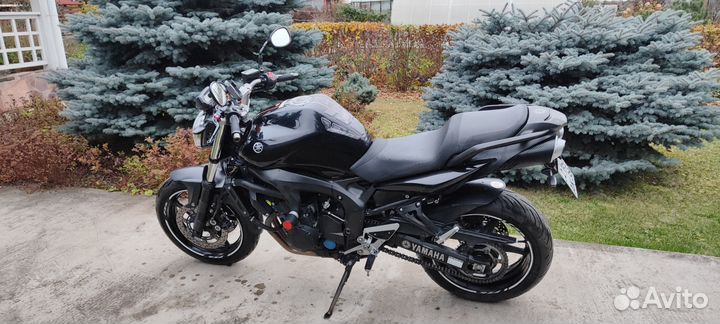 Yamaha FZ6N