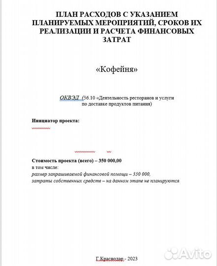 Бизнес план для соцконтракта