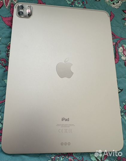 iPad pro 11