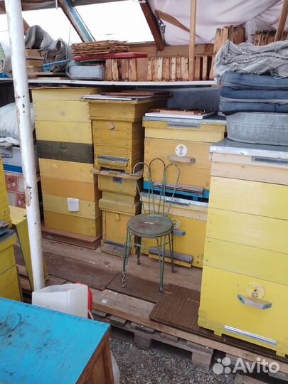 Продается пасечное оборудование