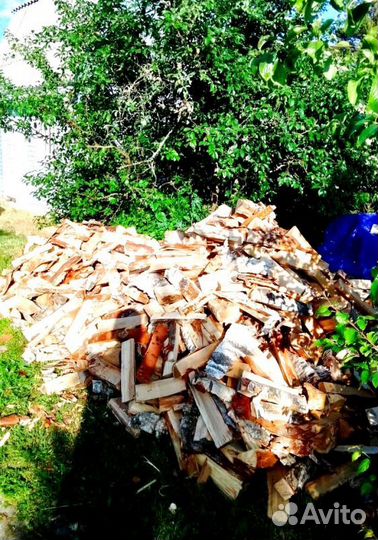 Дрова Ольха любого объема навалом