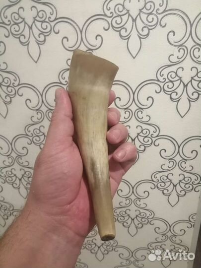 Рог изобилия для настоящих ценителей