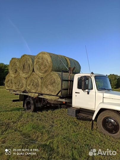 Сено в рулонах