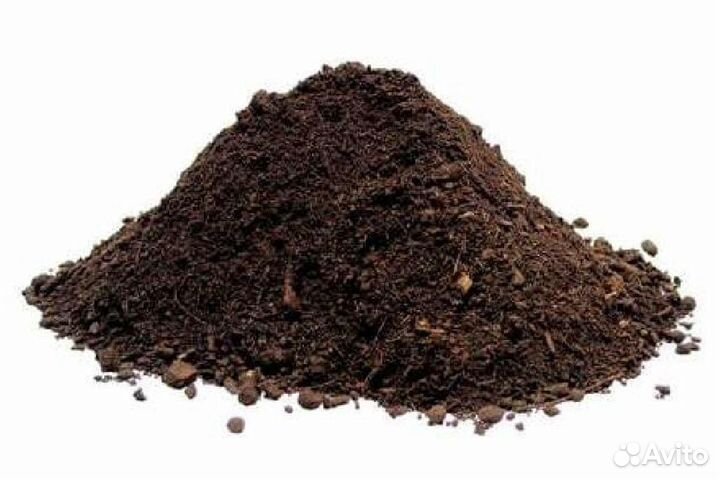 Торф туристинский