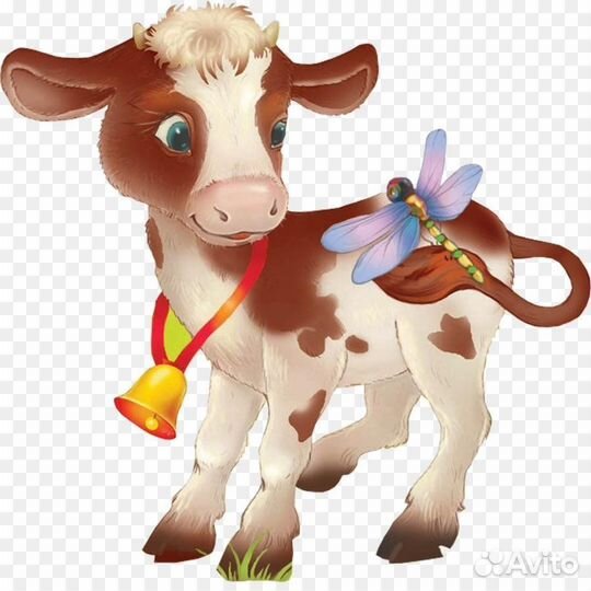 Продам телку 2,5 месяца