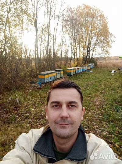 Мёд, соты, пыльца, прополис