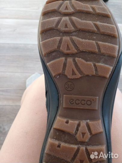 Сапоги женские ecco 36