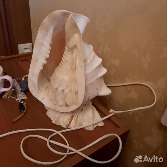 Светильник ракушка