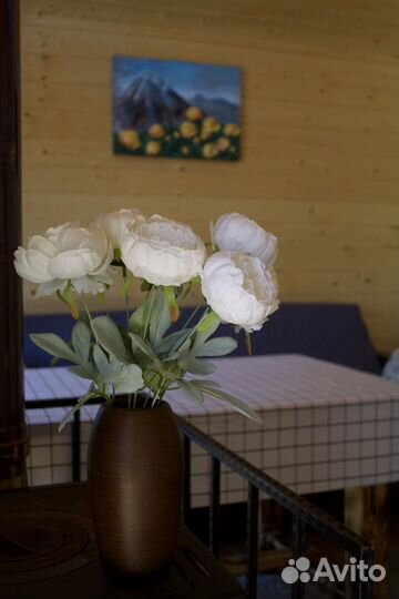 Домик с баней посуточно