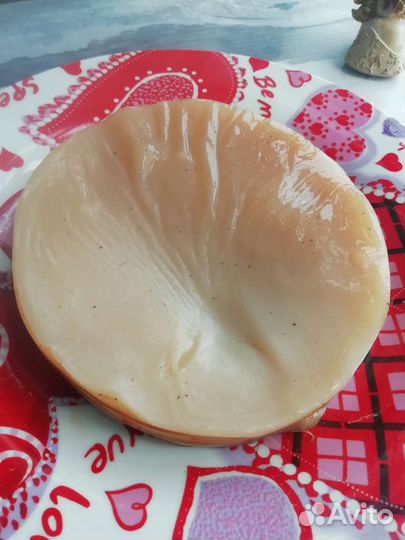 Чайный гриб, Комбуча