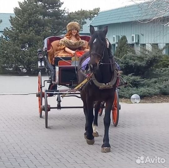 Карета фаэтон экипаж