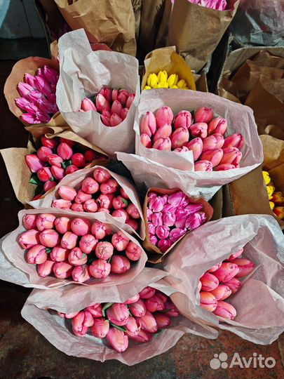 Тюльпаны к 8 марта розница