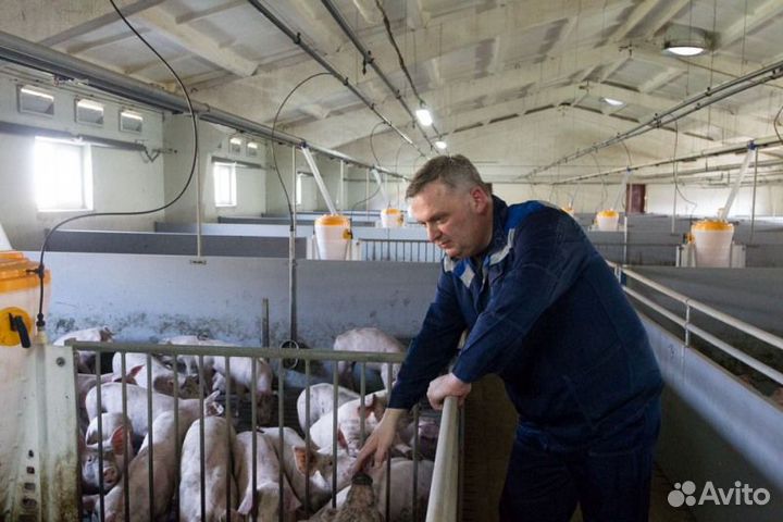 Помощник по уходу за животными (вахта )