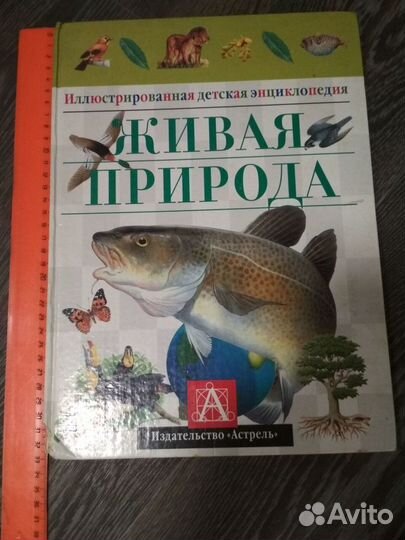 Детские энциклопедии