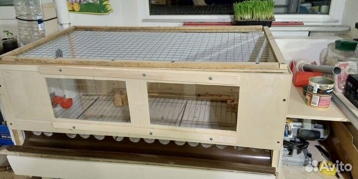 Брудеры новые и б/у