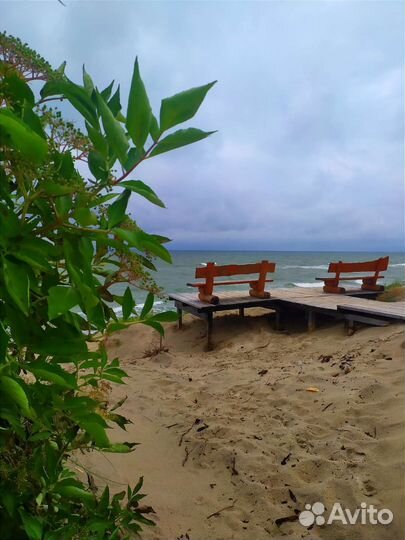 Индивидуальные экскурсии Куршская коса. Балтийск и