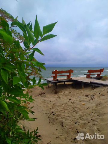 Индивидуальные экскурсии Куршская коса. Балтийск и