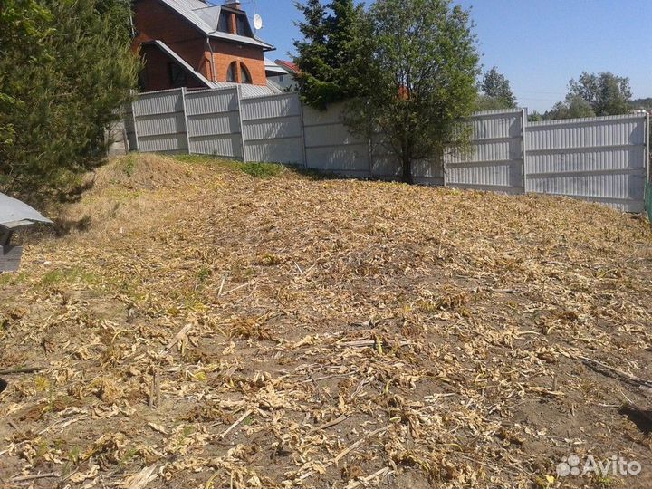 Уничтожение борщевика