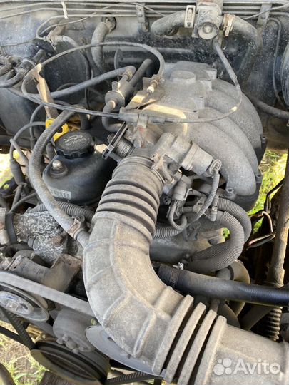 Двигатель Евро-3 Great Wall Safe 491QE-3