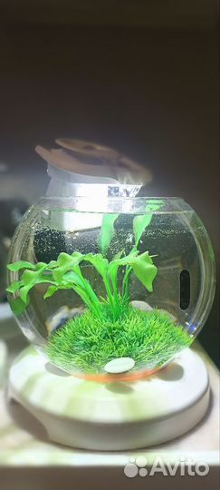 Аквариум круглый tetra cascade globe 6,8 л