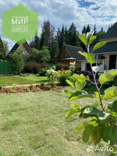 Рулонный газон