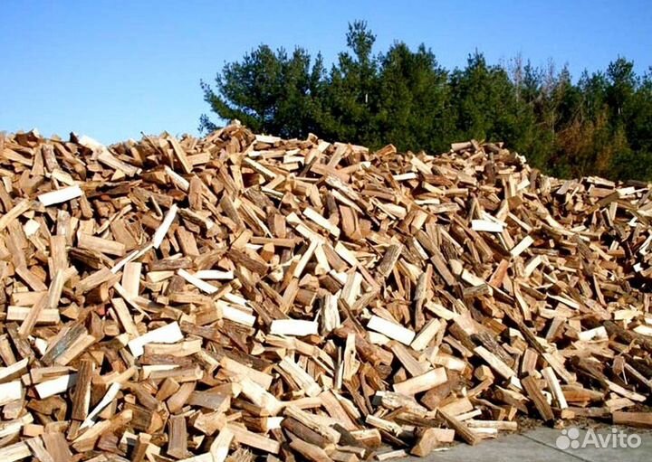 Дрова на дачу в баню