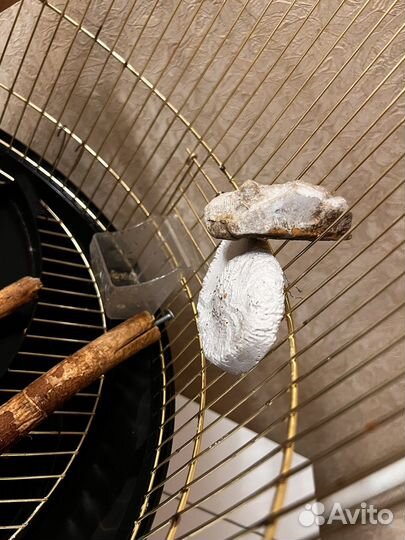 Клетка для попугая