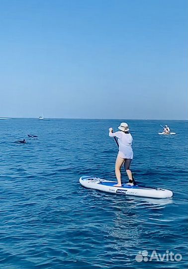 Прокат сапбордов, Аренда, саптуры к дельфинам