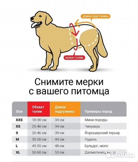 Подгузники и ошейники для животных