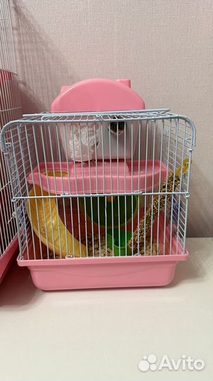 Хомяк с клеткой