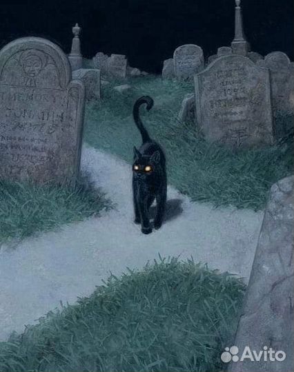 Практик. Таро. Обучение