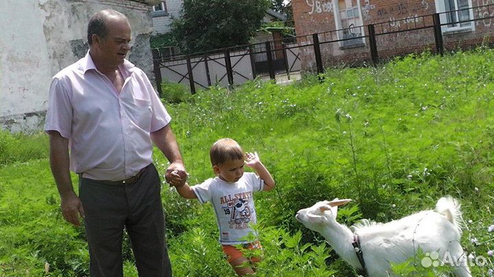 Репетиторство