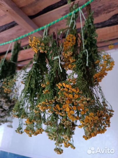 Сухие ароматные и лекарственные травы