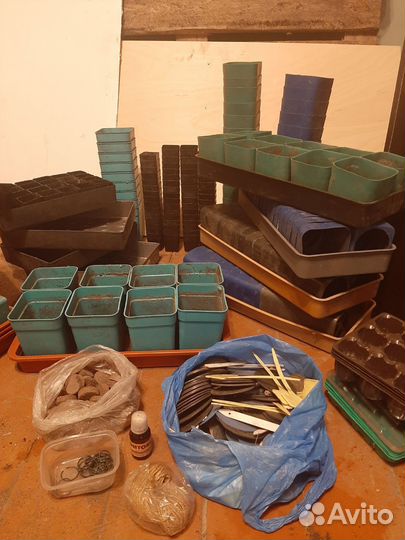 Поддоны для рассады