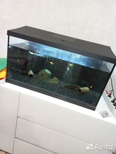 Аквариум