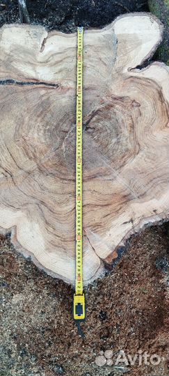 Спилы дерева из короля карагача