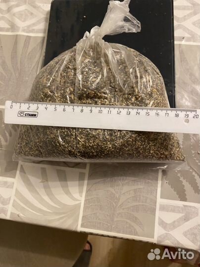 Корм для птиц