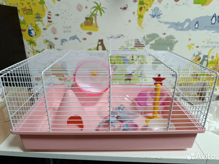 Ручные джунгарские хомяки с клеткой